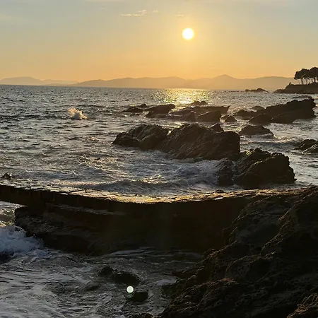 Les Pins فيلة